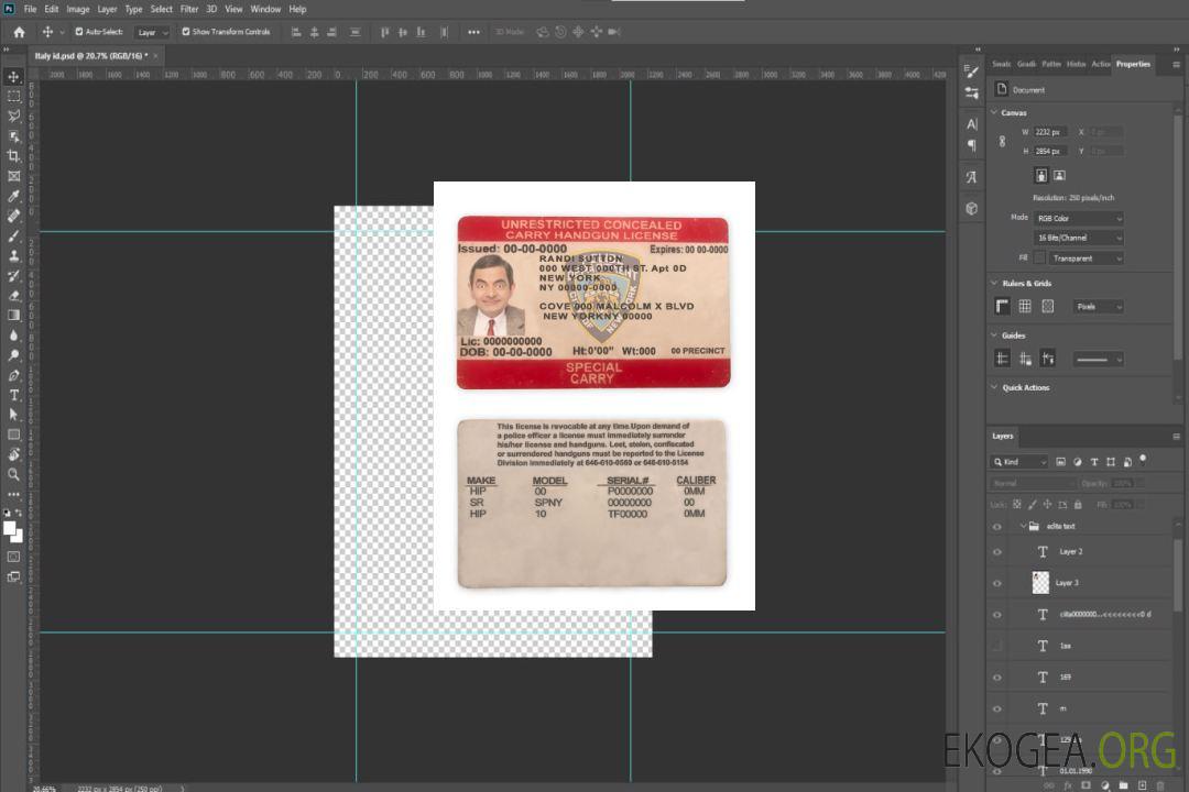 États-Unis Permis de transport dissimulé sans restriction dans l'État de New York template États-Unis Permis de transport dissimulé sans restriction dans l'État de New York template